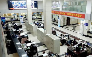 推進互聯網政務服務，洪湖辦事將像網購一樣便捷